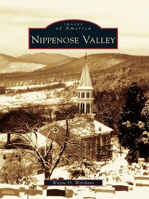 cover image of Nippenose Valley